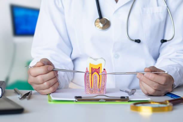 Best Emergency Dentist for Lost Fillings or Crowns in Pine Knoll Shores, NC